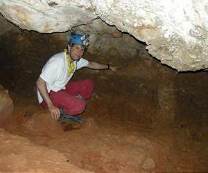 European Neandertals were almost extinct long before humans showed up
