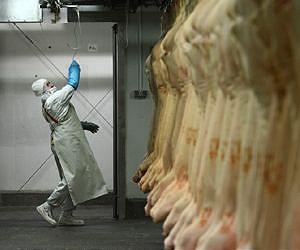 Romania sees opportunity in China's new taste for meat