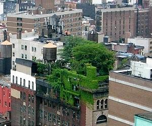 Across the US, employer-sponsored gardens grow