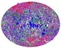 A new view of the X-ray sky