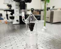 A rose inspires smart way to collect and purify water