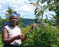 Unity is strength in the marketing of smallholder farm produce