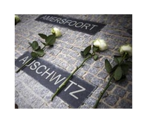 Oldest Auschwitz survivor dies aged 108