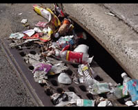 Economic crisis trashes scrap business in China