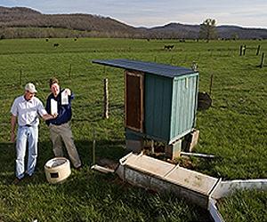 Arsenic In Field Runoff Linked To Poultry Litter