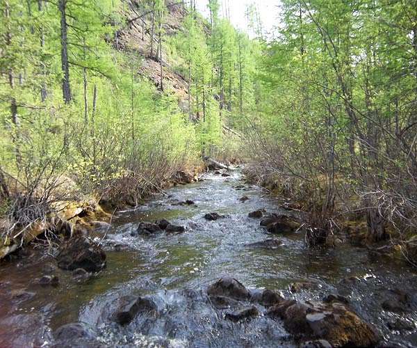 Balkan wild rivers in steady decline: study
