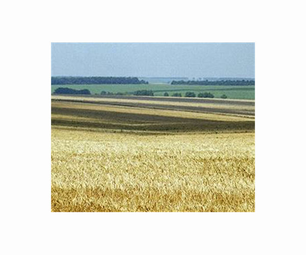 Two more grain shipments leave Ukrain