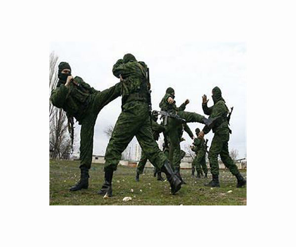 EU halts C. Africa army training over Wagner influence