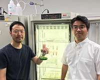 Highly safe biocontainment strategy hopes to encourage greater use of GMOs