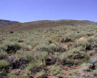 Insults To Sagebrush Ecosystem Threaten Habitats