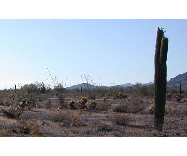 In US national parks, a historical wound begins to heal