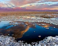 Atacama Desert microbes may hold clues to life on Mars