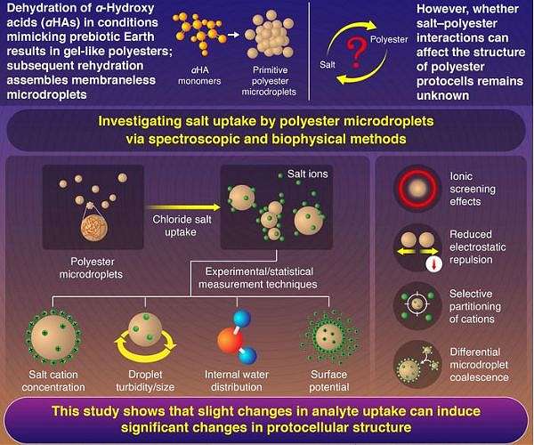Unlocking early Earth chemistry