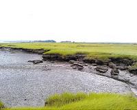 Normal weather drives salt marsh erosion