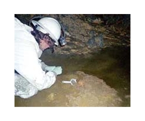Oldest mine in Americas discovered