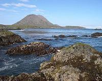 Scientists consider the effects of coastal erosion in the Arctic