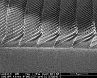 Firefly-inspired surfaces improve efficiency of LED lightbulbs