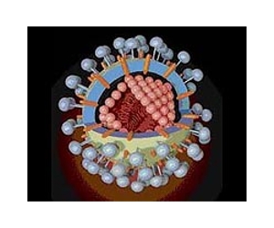 SARS-like virus patent complicating diagnosis: Saudi