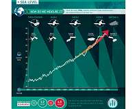 Sea-level monitoring satellite on show
