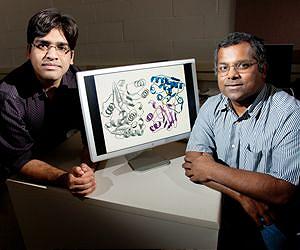Team discovers how bacteria resist a 'Trojan horse' antibiotic