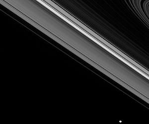 Amidst and Beyond the Rings