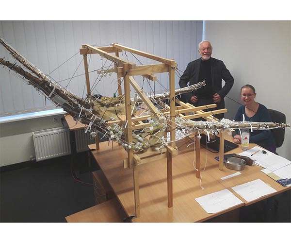 How plesiosaurs swam underwater