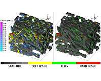 Image-based modeling