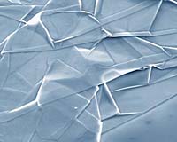 Quantum Hall Effect Observed At Room Temperature