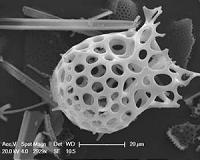Warming climates intensify greenhouse gas given out by oceans