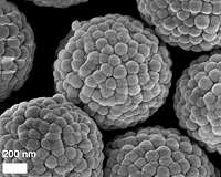 Breaking local symmetry: Why water freezes but silica forms a glass