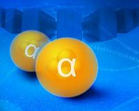 New insights into the creation of heavy elements