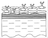 Researchers design and patent graphene biosensors