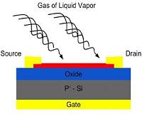 Researchers build atomically thin gas and chemical sensors