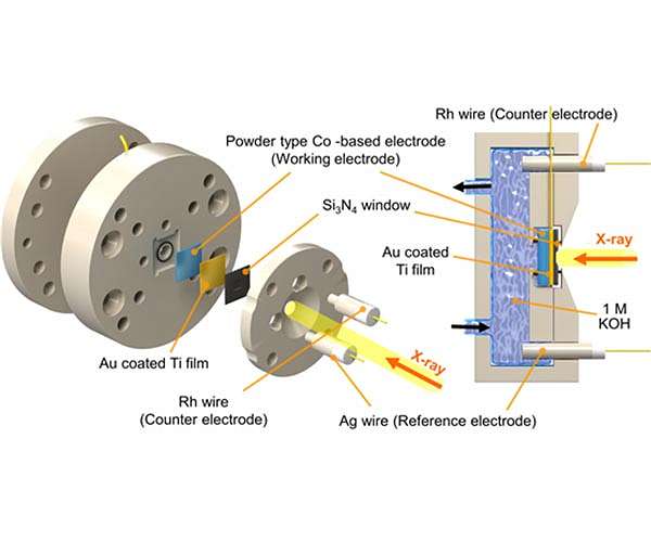 A catalyst for the development of carbon-neutral technology of the radiation accelerator