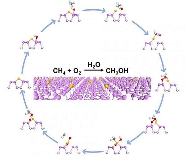 Gold-phosphorus nanosheets catalyzes nature gas to greener energy selectively