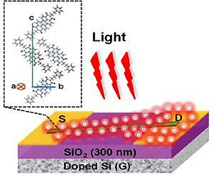 Organic nanowires open the way for optoelectronic device miniaturization