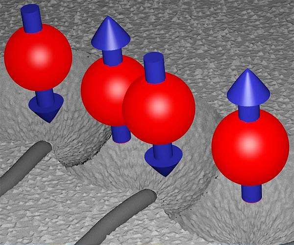 Electron spin measured for the first time