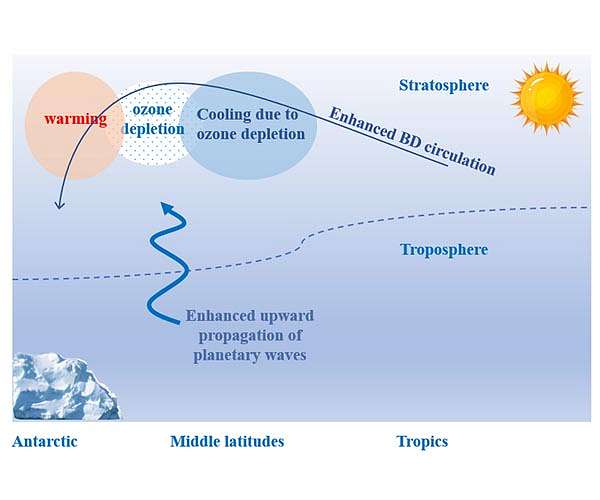 Ozone depletion leads to Antarctic upper-stratospheric warming in winter