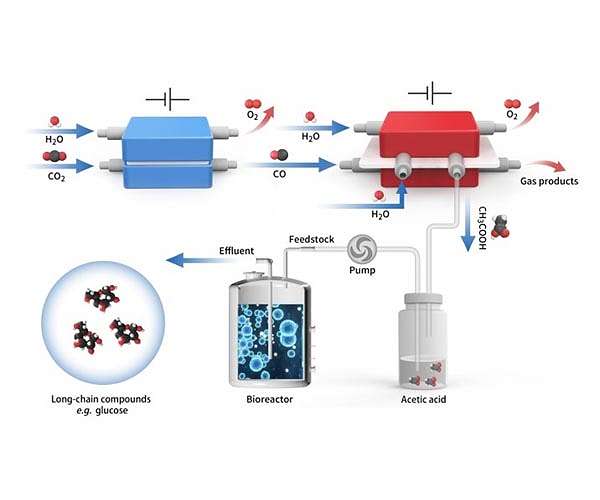 Hybrid electro-biosystem upcycles carbon dioxide into energy-rich long-chain compounds