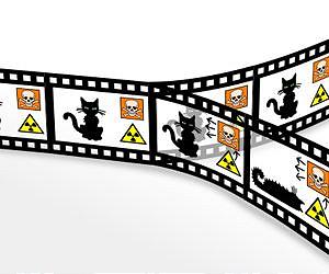 Making big 'Schroedinger cats'