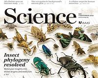Of dragonflies and dinosaurs: mapping the evolution of insects