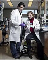 New Human Stem Cell Center Expected To Speed Research And Keep It Safe