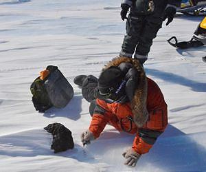 Scientists at Princess Elisabeth Antarctica Discover 18kg Antarctic Meteorite