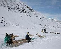 Greenland glaciers retreating at record pace