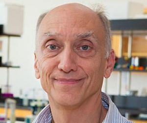 Study of rodent family tree puts brakes on commonly held understanding of evolution