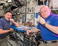 How mold on Space Station flowers is helping get us to Mars