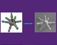 Silica spiky screws could boost industrial coatings, additive manufacturing