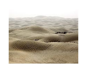 China says faces tough fight against desertification