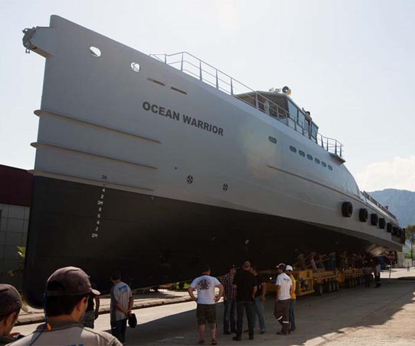 Paul Watson: eco-warrior on the high seas