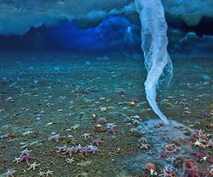 Sea stalactites provide clues to origin of life